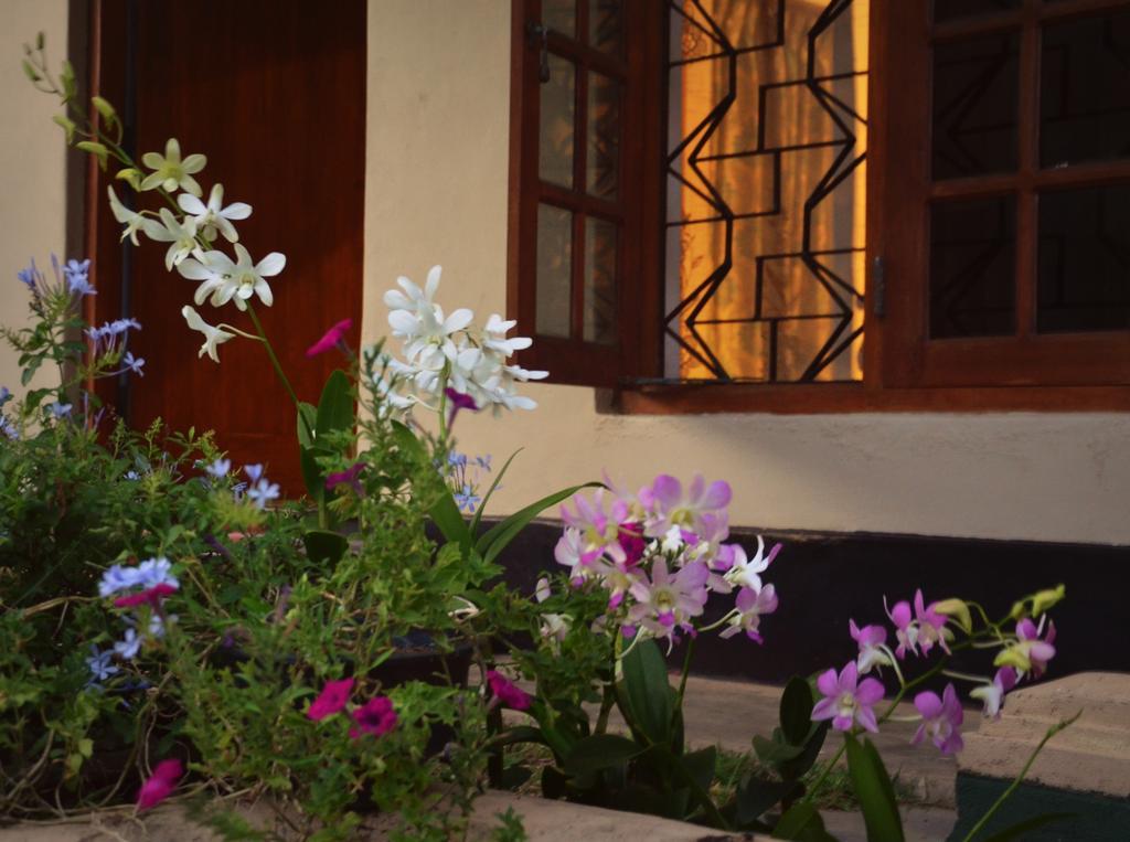 Dams Place Galle Bagian luar foto